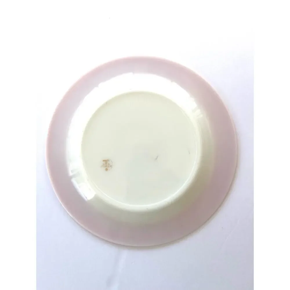 Vintage Pyrex Dinner Plate with Flamingo Pink Coral Rim